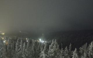Bukovina - Panorama - 02-02-2026 02:23