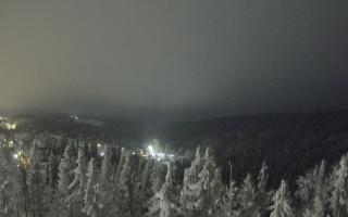 Bukovina - Panorama - 02-02-2026 02:37