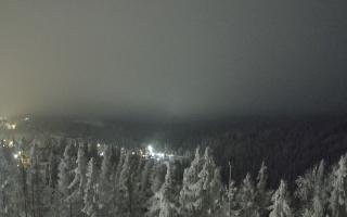 Bukovina - Panorama - 02-02-2026 02:58