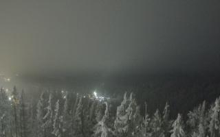 Bukovina - Panorama - 02-02-2026 03:05