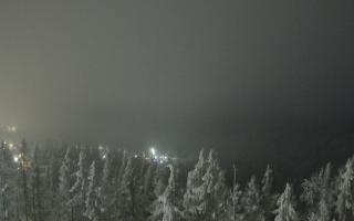 Bukovina - Panorama - 02-02-2026 03:12