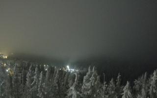 Bukovina - Panorama - 02-02-2026 03:26