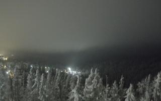Bukovina - Panorama - 02-02-2026 03:40