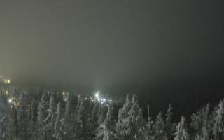 Bukovina - Panorama - 02-02-2026 03:54