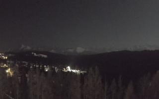 Bukovina - Panorama - 04-03-2026 01:58