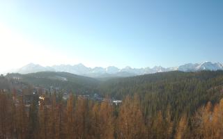 Bukovina - Panorama - 16-03-2026 06:23