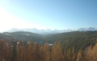 Bukovina - Panorama - 16-03-2026 06:30