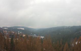 Bukovina - Panorama - 17-03-2026 08:53