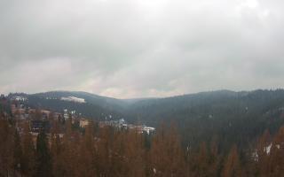 Bukovina - Panorama - 17-03-2026 09:00