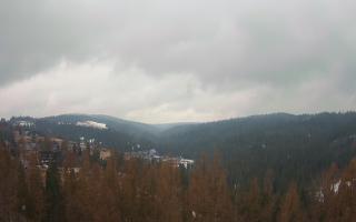 Bukovina - Panorama - 17-03-2026 09:07