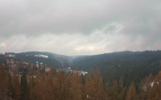 Bukovina - Panorama - 17-03-2026 09:14