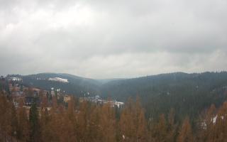 Bukovina - Panorama - 17-03-2026 09:21