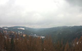 Bukovina - Panorama - 17-03-2026 09:35