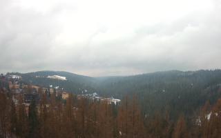 Bukovina - Panorama - 17-03-2026 09:42
