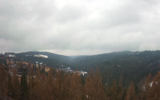 Bukovina - Panorama - 17-03-2026 09:49