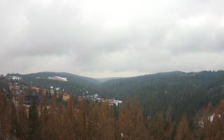 Bukovina - Panorama - 17-03-2026 09:56