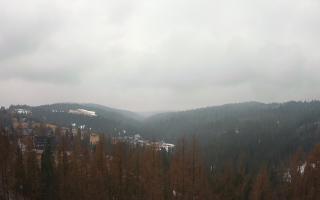 Bukovina - Panorama - 17-03-2026 10:03