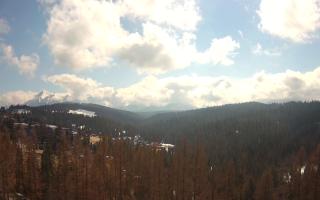Bukovina - Panorama - 21-03-2026 10:58