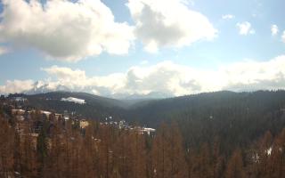 Bukovina - Panorama - 21-03-2026 11:05