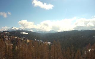 Bukovina - Panorama - 21-03-2026 11:34