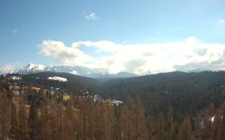 Bukovina - Panorama - 21-03-2026 11:48