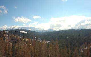 Bukovina - Panorama - 21-03-2026 11:55