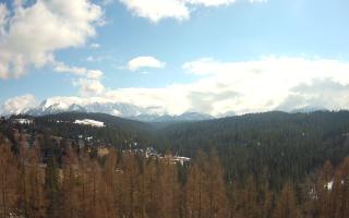 Bukovina - Panorama - 21-03-2026 12:02