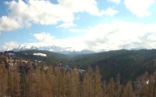 Bukovina - Panorama - 21-03-2026 12:09