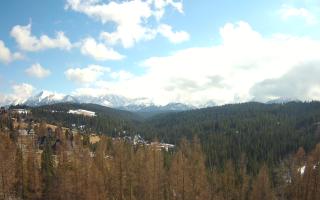 Bukovina - Panorama - 21-03-2026 12:23