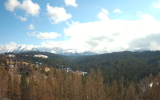 Bukovina - Panorama - 21-03-2026 12:30