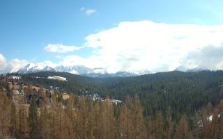 Bukovina - Panorama - 21-03-2026 12:37