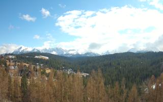 Bukovina - Panorama - 21-03-2026 12:51
