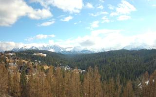Bukovina - Panorama - 21-03-2026 13:12