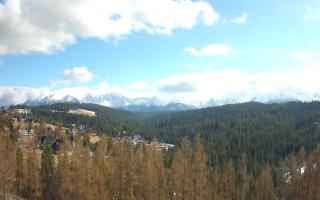 Bukovina - Panorama - 21-03-2026 13:19
