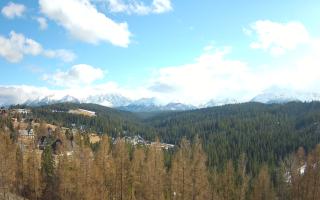 Bukovina - Panorama - 21-03-2026 13:40