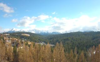 Bukovina - Panorama - 21-03-2026 14:15