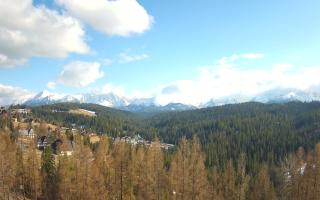 Bukovina - Panorama - 21-03-2026 14:30