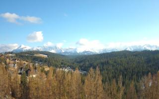 Bukovina - Panorama - 21-03-2026 14:58