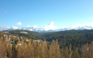 Bukovina - Panorama - 21-03-2026 15:12