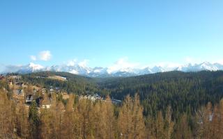Bukovina - Panorama - 21-03-2026 15:26