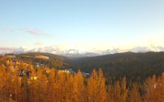 Bukovina - Panorama - 21-03-2026 16:15