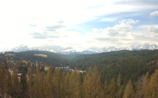 Bukovina - Panorama - 28-04-2026 07:36