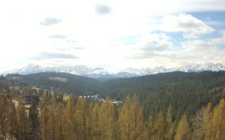 Bukovina - Panorama - 28-04-2026 07:43