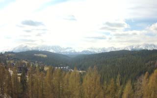 Bukovina - Panorama - 28-04-2026 07:51
