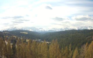 Bukovina - Panorama - 28-04-2026 07:58