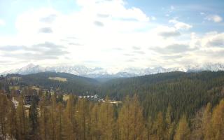 Bukovina - Panorama - 28-04-2026 08:05