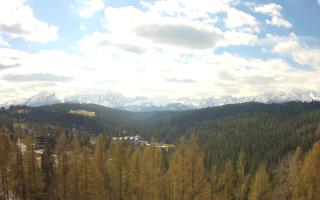 Bukovina - Panorama - 28-04-2026 08:33