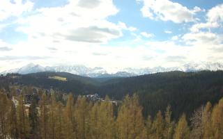 Bukovina - Panorama - 28-04-2026 08:40