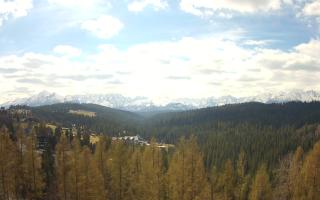 Bukovina - Panorama - 28-04-2026 08:54