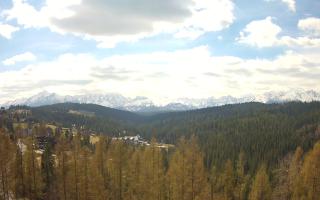 Bukovina - Panorama - 28-04-2026 09:01